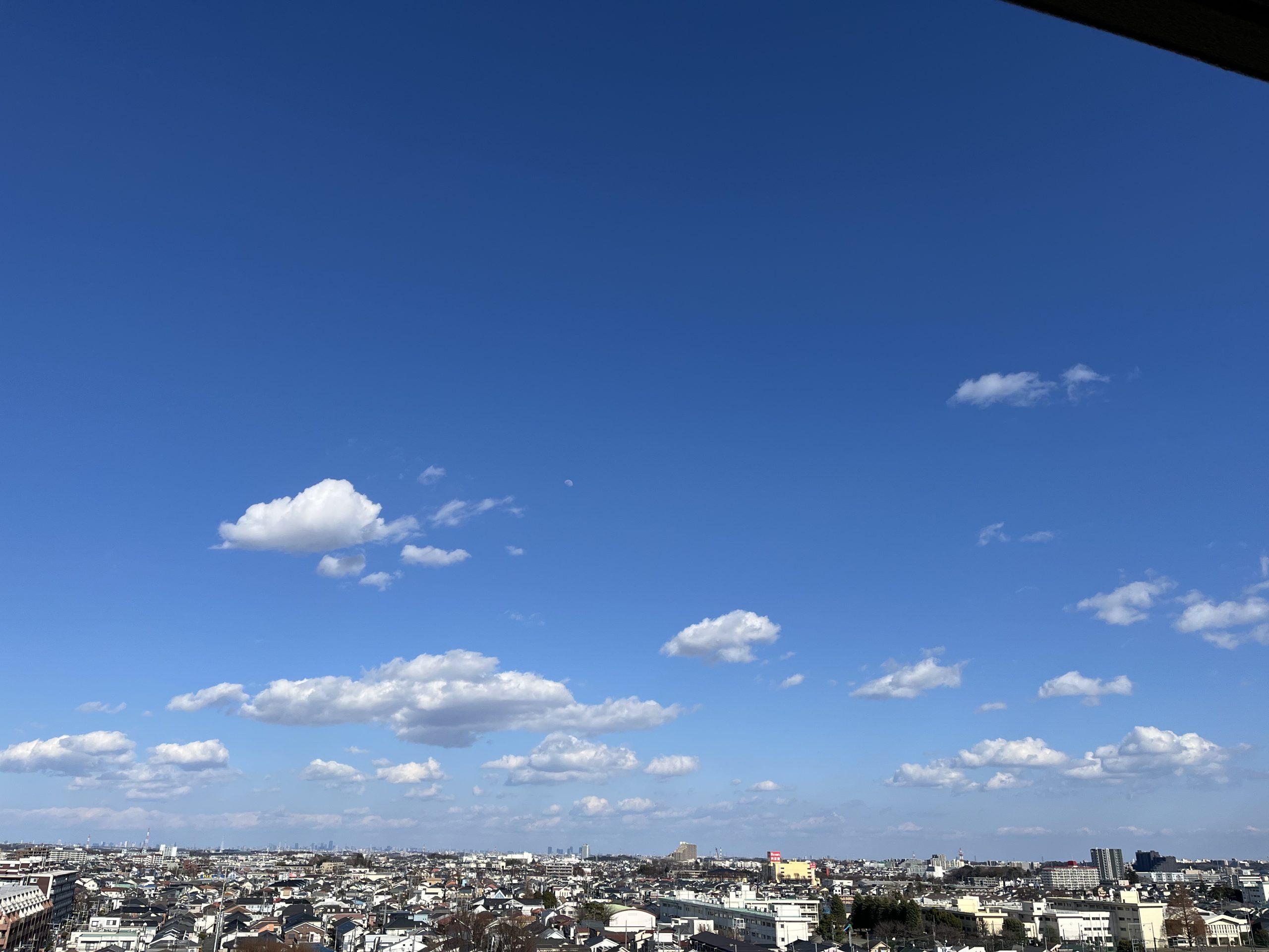 遺伝子博士【遺伝子検査キット】何がわかる？｜マイセルフ｜ルーツ｜