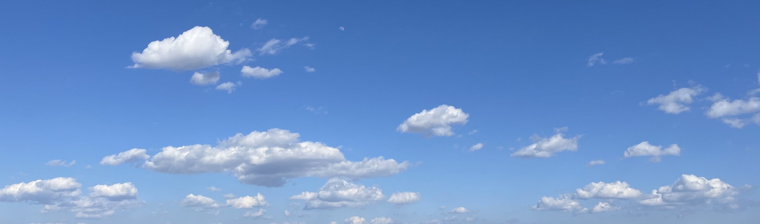 遺伝子博士【遺伝子検査キット】何がわかる？｜マイセルフ｜ルーツ｜